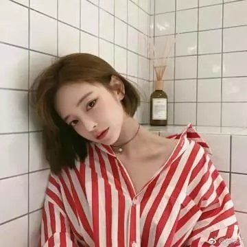 兔子谜题